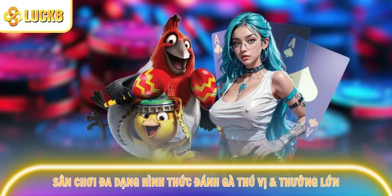 Các hình thức chọi gà thú vị & hấp dẫn